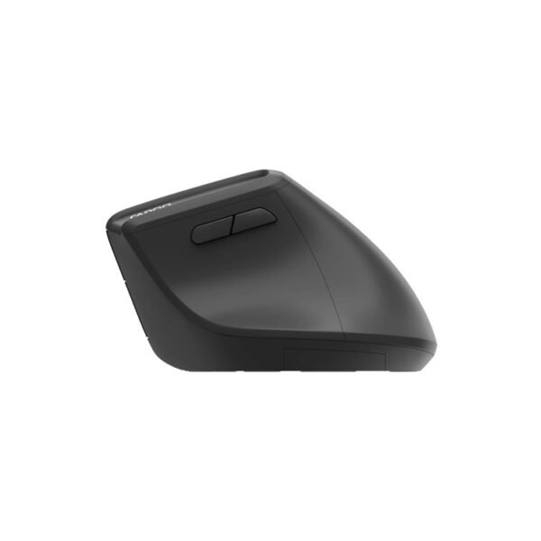 Rapoo EV310M Ergonomic Wireless Mouse - Black